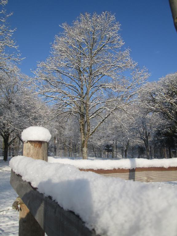 Camping De Masevaux Kültér fotó