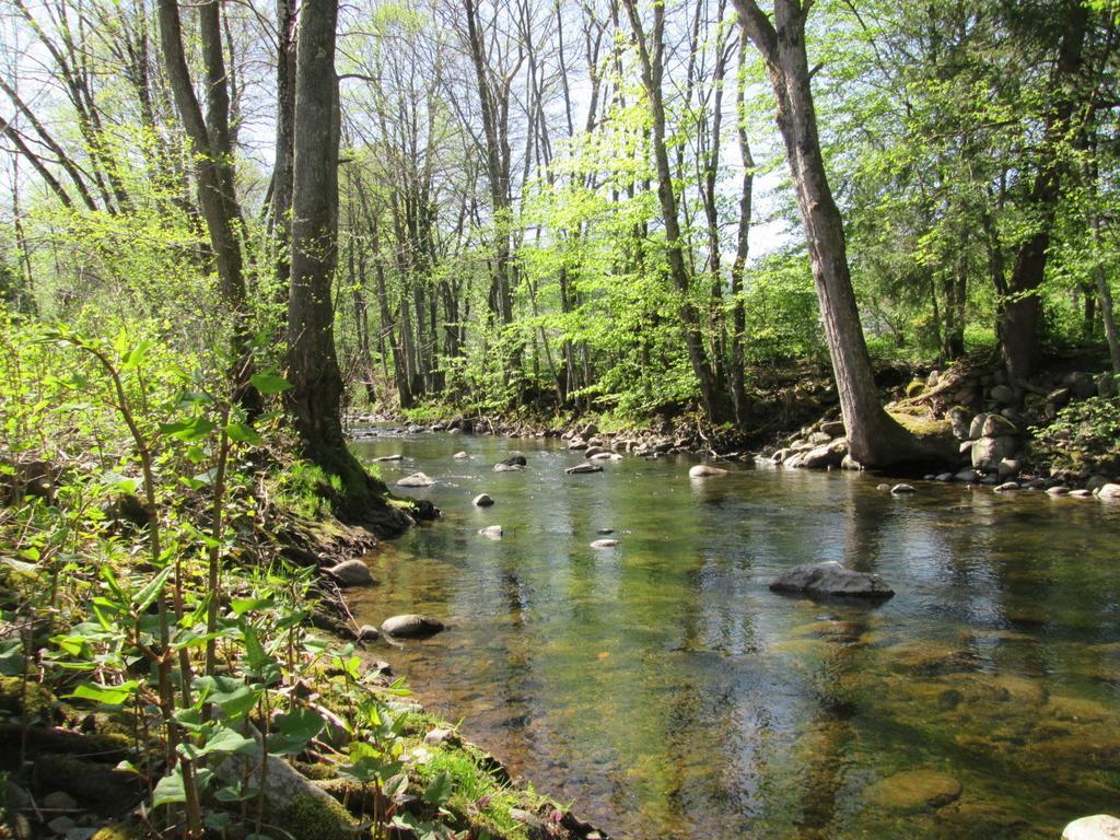Camping De Masevaux Kültér fotó